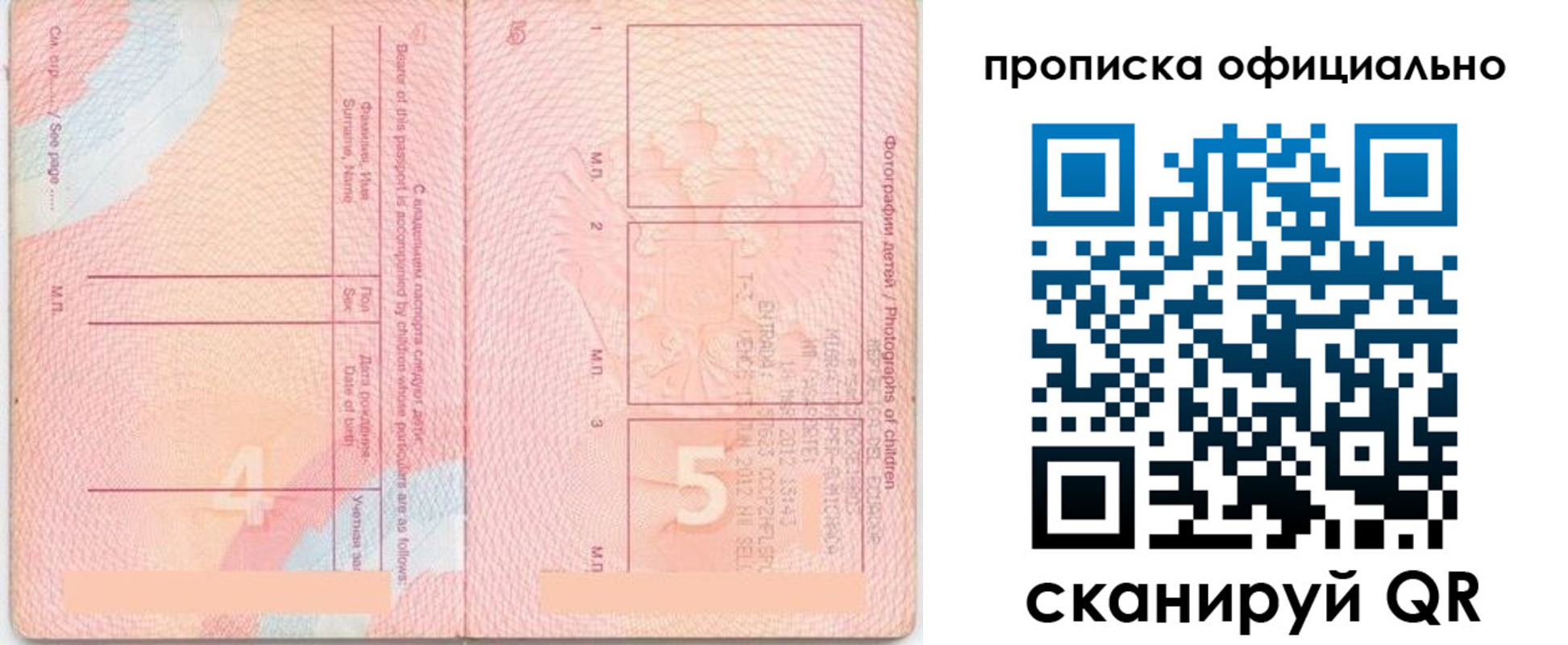 прописка для школы в Плавске